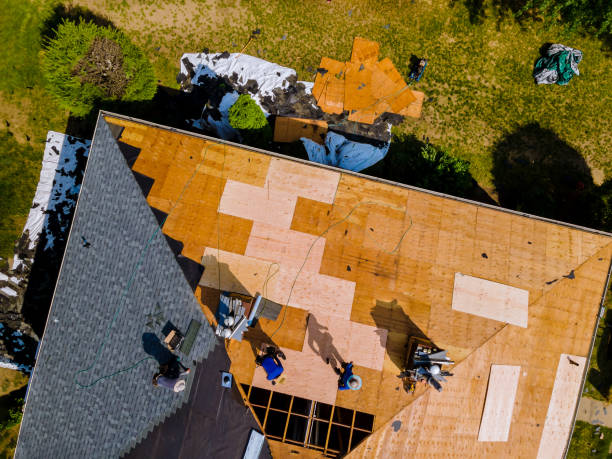Best Roof Repair Services  in Manly, IA