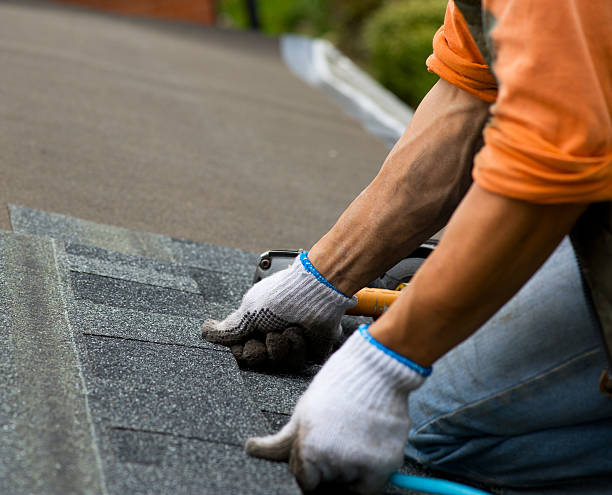 Best Roof Gutter Cleaning  in Manly, IA