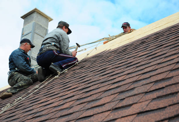 Best Local Roofing Companies  in Manly, IA